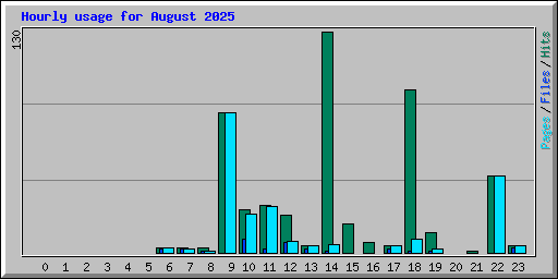 Hourly usage for August 2025