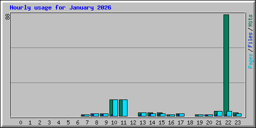 Hourly usage for January 2026